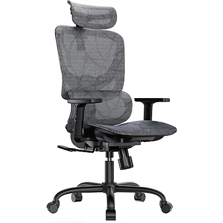 HUANUO Ergonomic Mesh Office Chair with 5-Level Lumbar Support $50 + FS $60