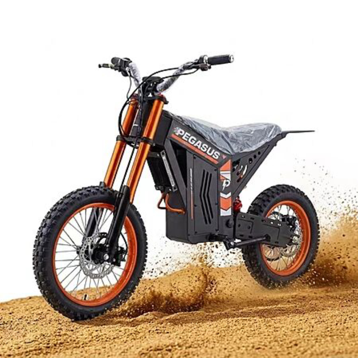 Pegasus New Fashion 2000W 48V 21AH 60km/h Mountain E-Bike