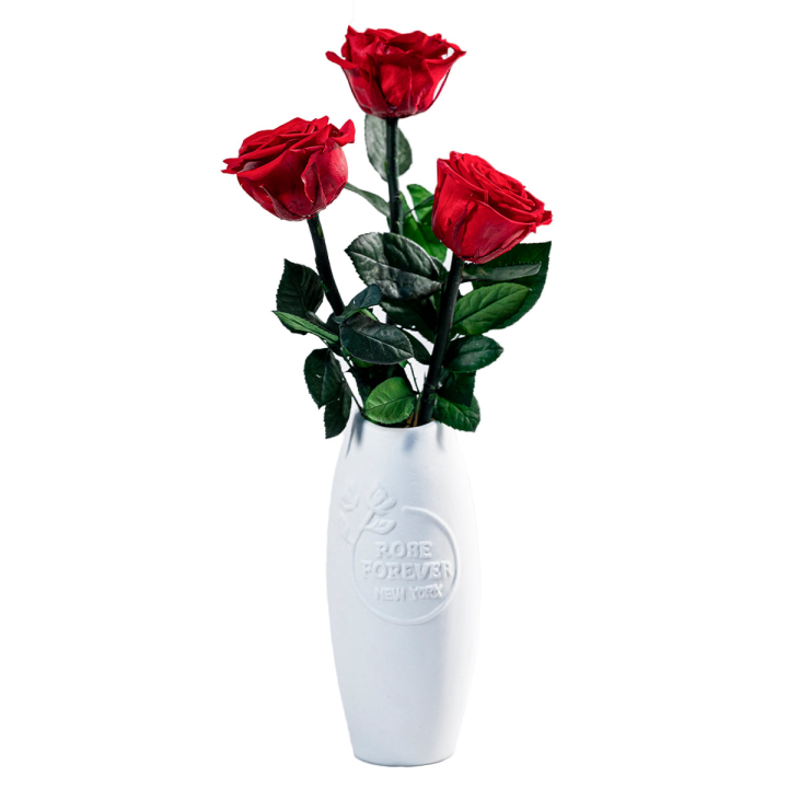 RED ROSES- LONG FLEUR ROUGE