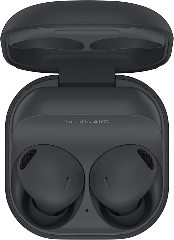 Galaxy Buds2 Pro, Graphite