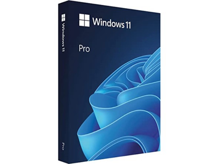 Microsoft Windows 10 or 11 Pro (Your Choice)
