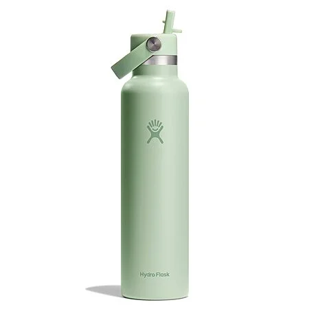 24-Oz Hydro Flask Insulated Stainless Steel Water Bottle w/ Straw Lid (Aloe) $19.98 + Free Shipping w/ Prime or on $35+