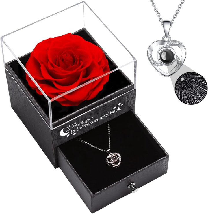GIVEUBED Preserved Real Red Rose with I Love You Necklace in