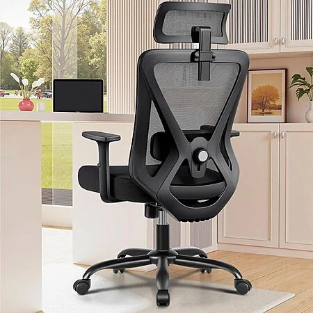 FelixKing Mesh Office Computer Desk Chair w/ Adjustable Headrest